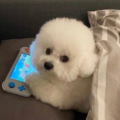 没有地平线好看的手游